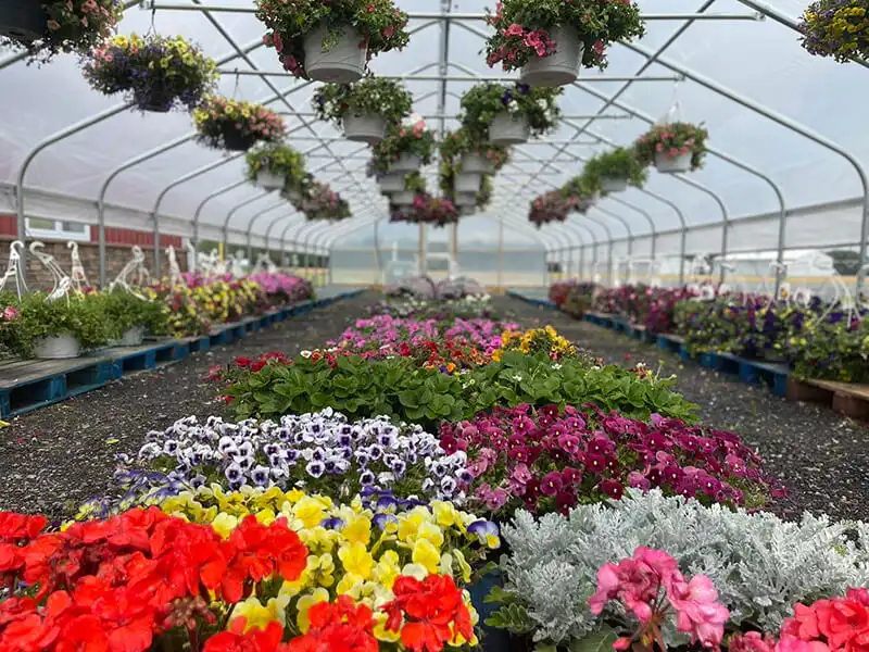 Mothers Day Flower farm