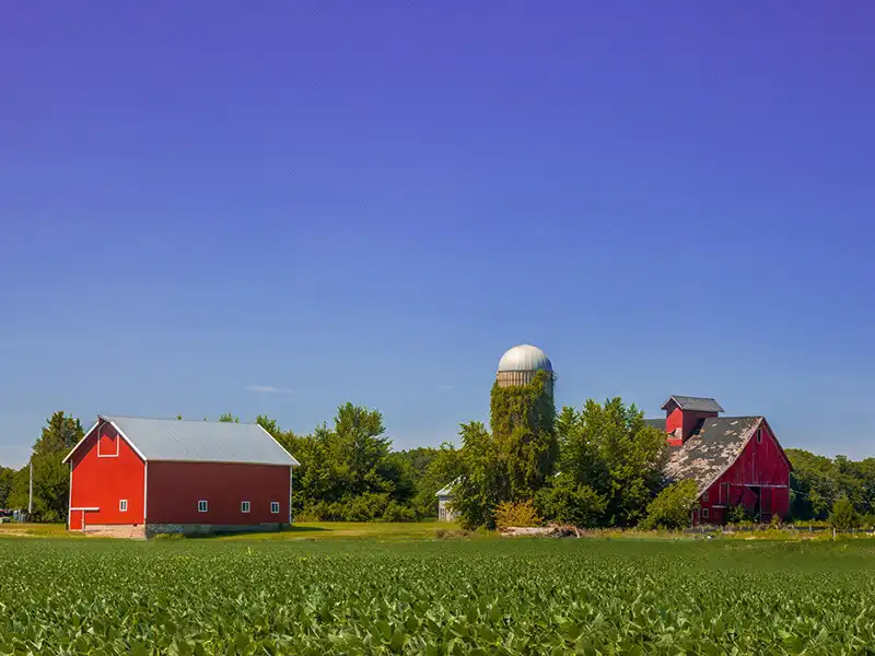 Farm scene against blue sky